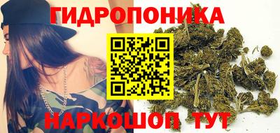 стафф Лесосибирск