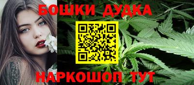 стафф Лесосибирск