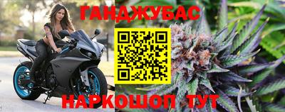 стафф Лесосибирск