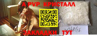 стафф Лесосибирск