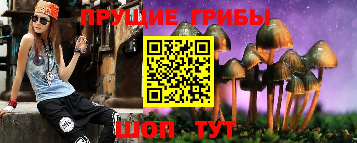 Псилоцибиновые грибы Psilocybine cubensis Изобильный